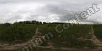 High Resolution Panorama Texture 0004